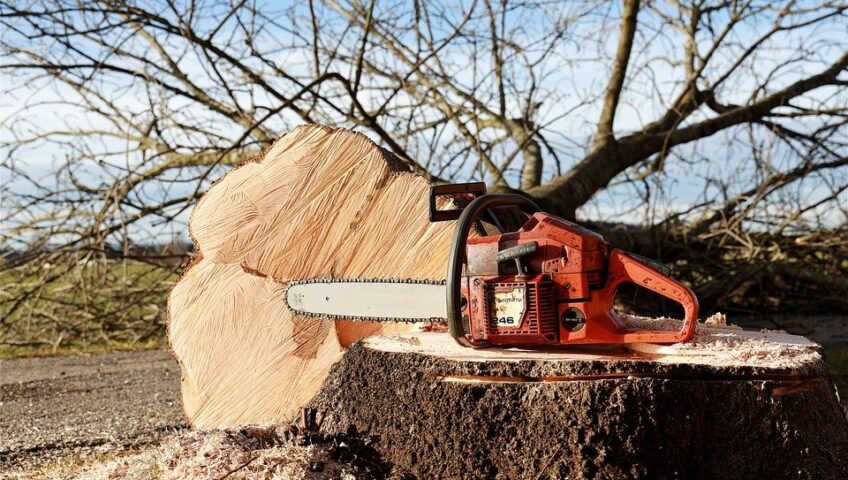 stump removal pricing