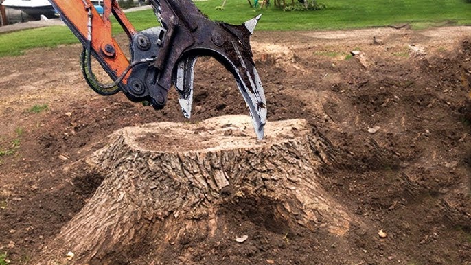 stump grinding