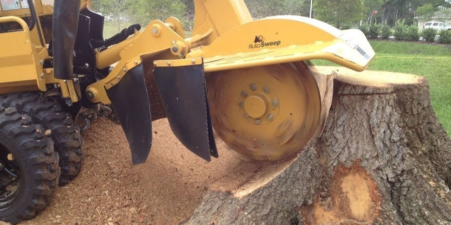 stump removal pricing